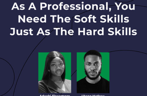 As A Professional, You Need The Soft Skills Just As The Hard Skills – ADAOBI EKWEMOZO